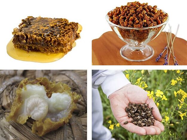 Taruliha, peg, mesilane -bee, kuninglik tarretis